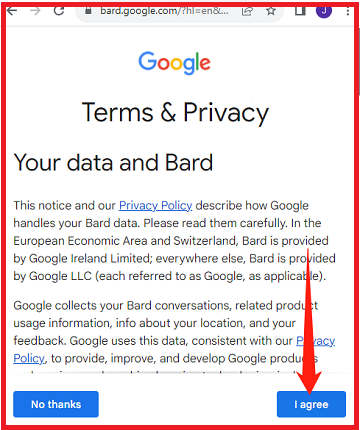 Google Bard账号购买 谷歌Bard AI人工智能账号 已获取Bard试用资格 直接登陆使用